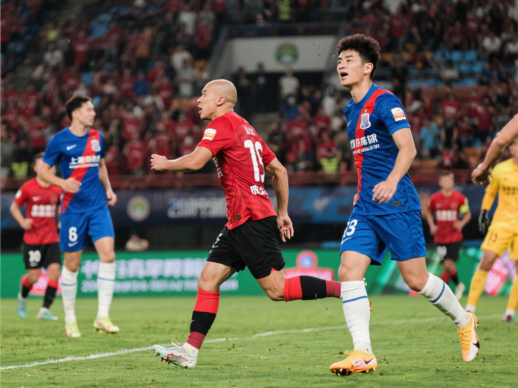 球迷的支持 球迷的支持